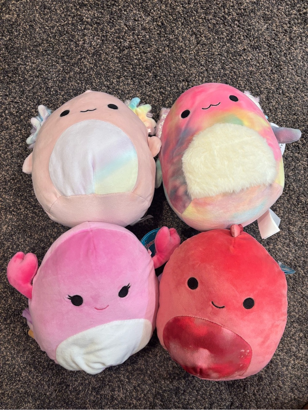 Squishmallows Set of 4 (1 DAY LEFT!)
